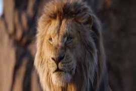 lion king torrent